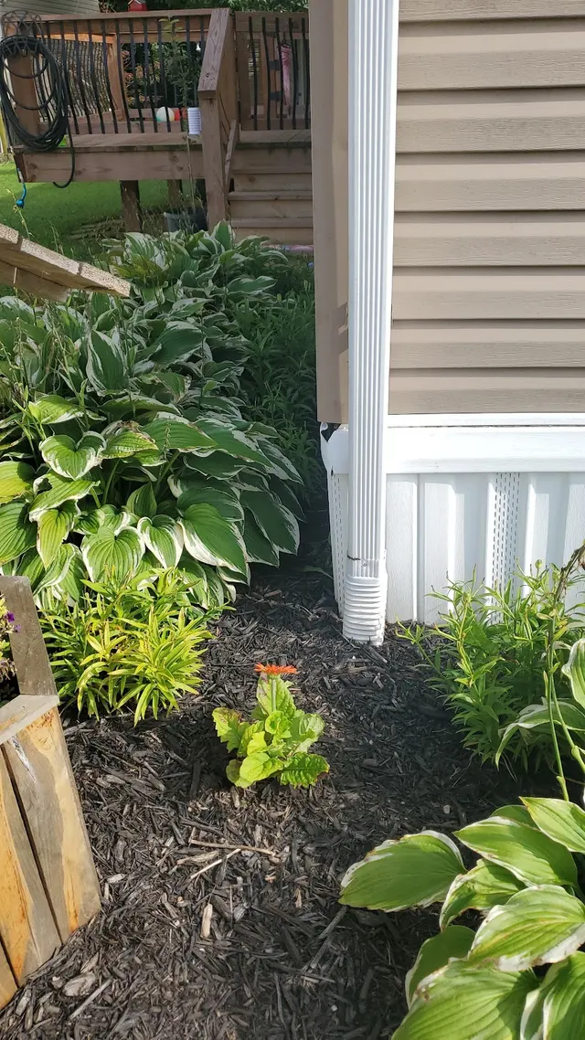 Cogent Pest Elimination — photo from the business 5