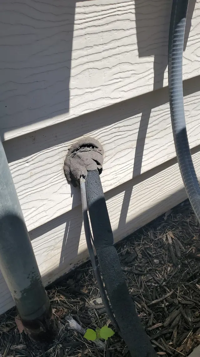 Cogent Pest Elimination — photo from the business 7