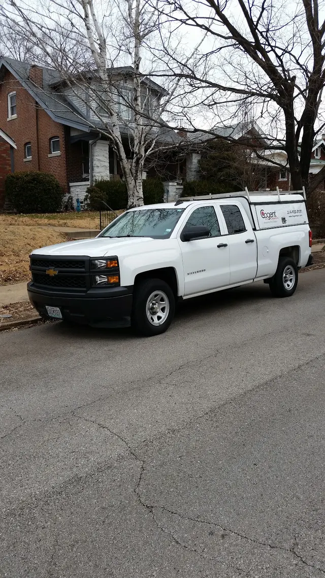 Cogent Pest Elimination — photo from the business 4