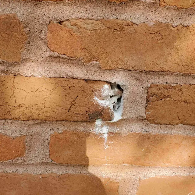 Cogent Pest Elimination — photo from the business 12