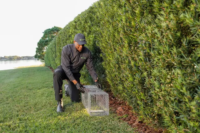 Bug Out — photo from the business 2