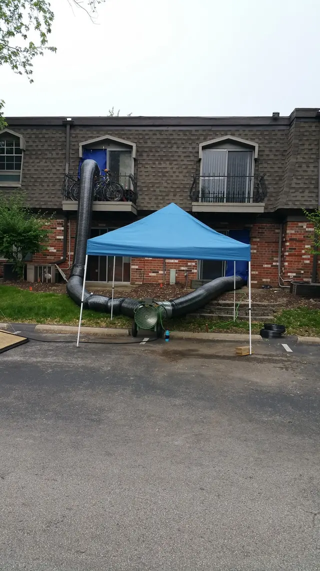 Unitech Pest And Termite — photo from the business 3
