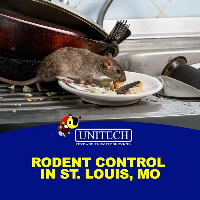 Unitech Pest And Termite — photo from the business 11