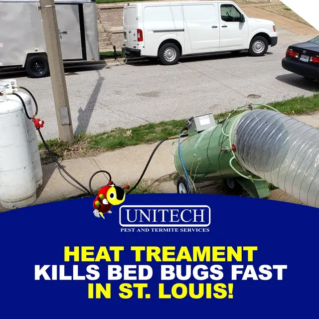 Unitech Pest And Termite — photo from the business 7