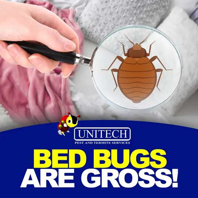 Unitech Pest And Termite — photo from the business 10