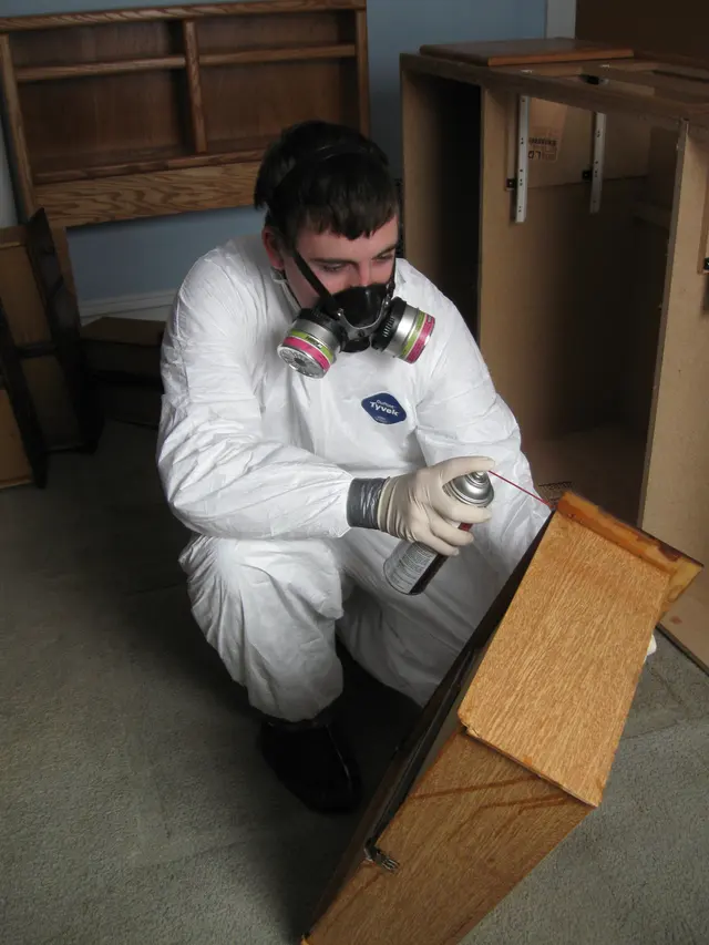 A1 St Louis Bed Bug Exterminator — photo from the business 8