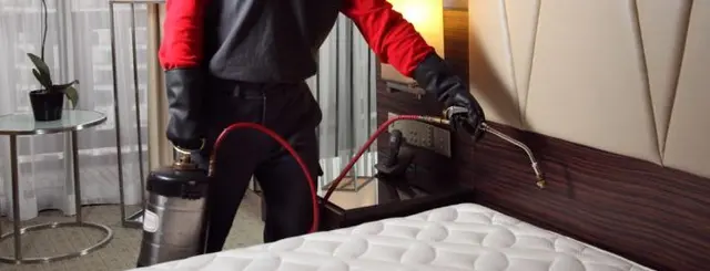 A1 St Louis Bed Bug Exterminator — photo from the business 11