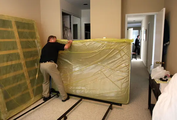 A1 St Louis Bed Bug Exterminator — photo from the business 1