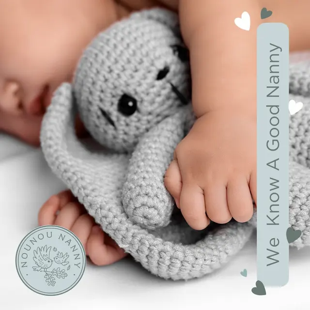 Nounou Nanny — photo from the business 4