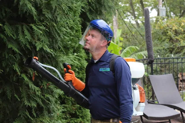 Rottler Pest Solutions — photo from the business 7