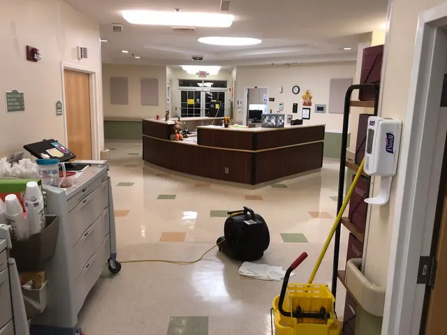 TopNotch Carpet & Upholstery Cleaning — photo from the business 5