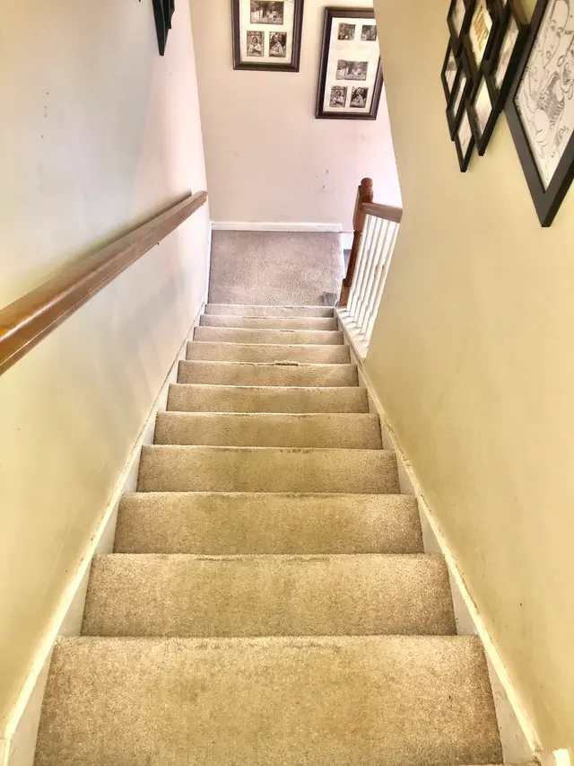 TopNotch Carpet & Upholstery Cleaning — photo from the business 9