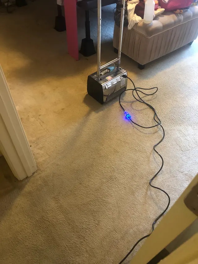 TopNotch Carpet & Upholstery Cleaning — photo from the business 12