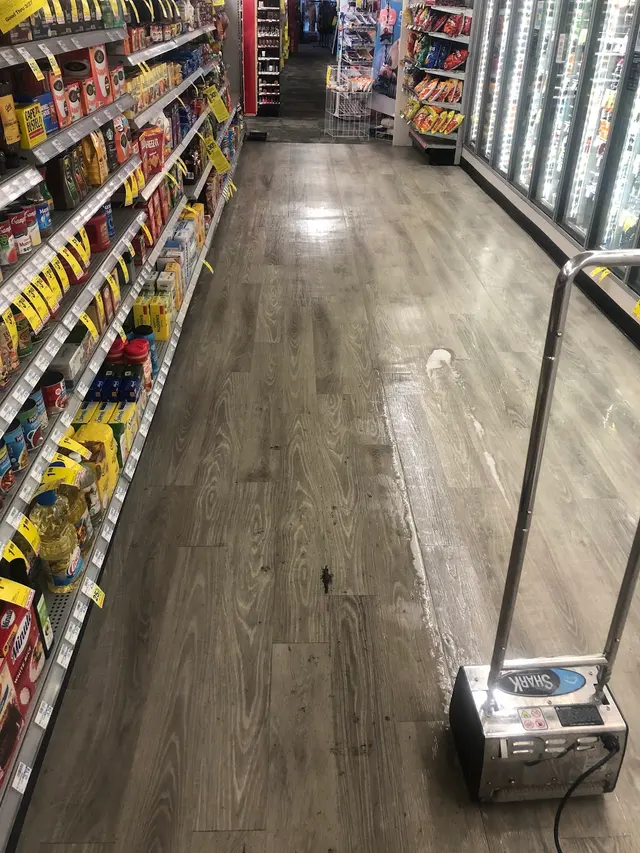 TopNotch Carpet & Upholstery Cleaning — photo from the business 1