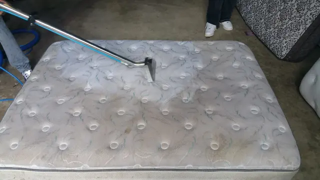TopNotch Carpet & Upholstery Cleaning — photo from the business 10