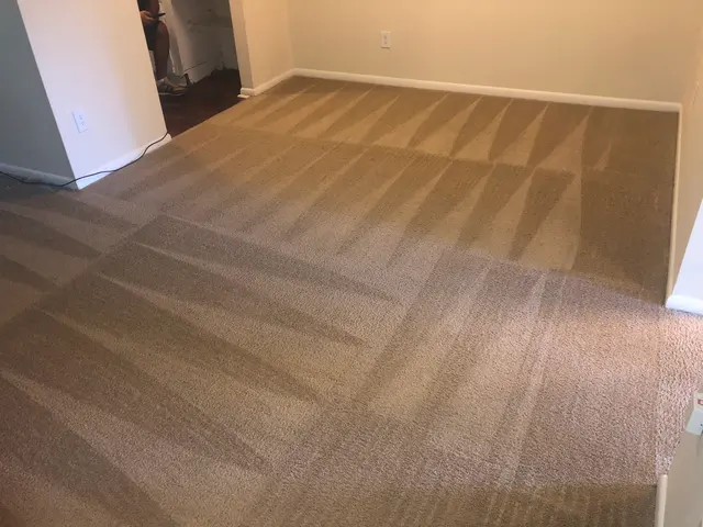 TopNotch Carpet & Upholstery Cleaning — photo from the business 2