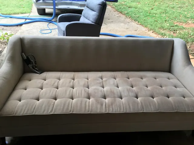 TopNotch Carpet & Upholstery Cleaning — photo from the business 6