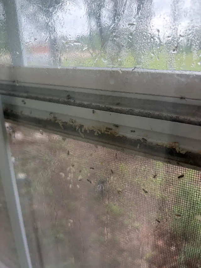 Ponder Pest Control — customer photo 9