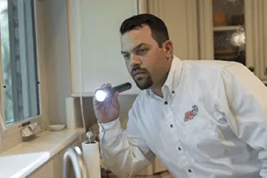 Adams Exterminating — photo from the business 10