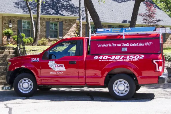 Adams Exterminating — photo from the business 4
