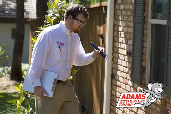 Adams Exterminating — photo from the business 6