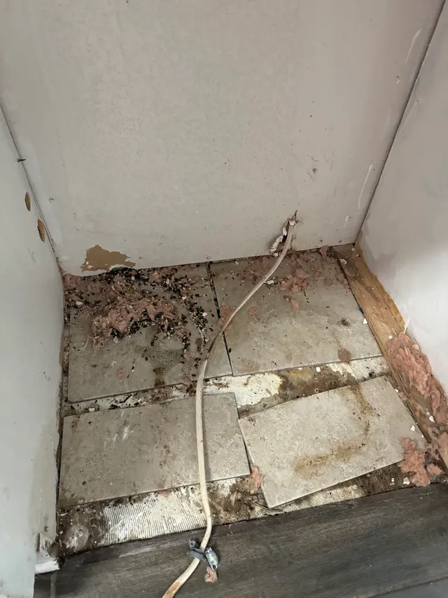 Unique Pest Control — customer photo 4