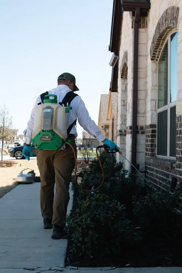 Vermatex Pest Solutions — photo from the business 9