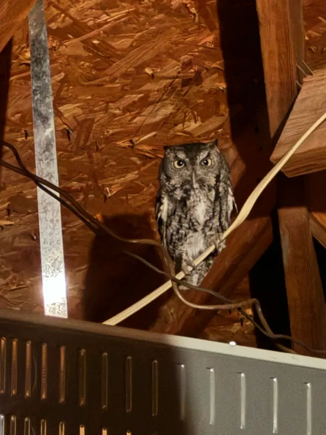 Vermatex Pest Solutions — customer photo 12