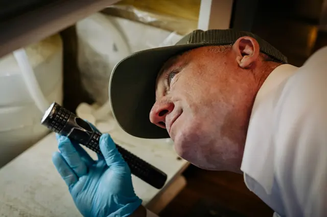 Vermatex Pest Solutions — photo from the business 4