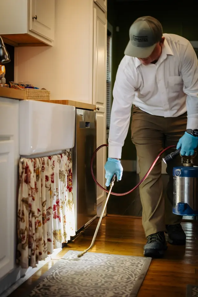 Vermatex Pest Solutions — photo from the business 2