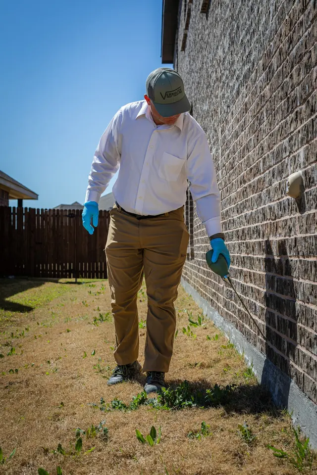 Vermatex Pest Solutions — photo from the business 11