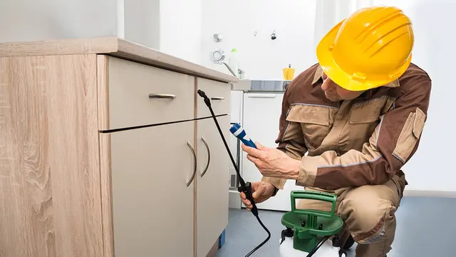 Denton County Termite & Pest Control Inc — photo from the business 1
