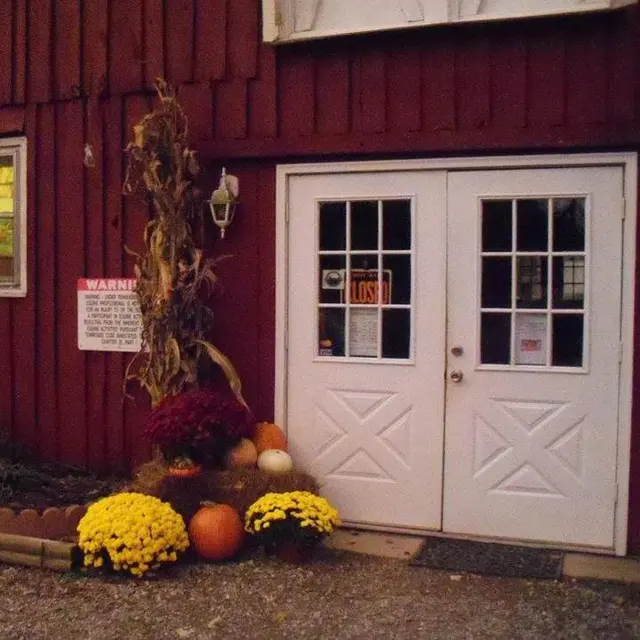 Town & Country Farm & Pet Sitter — photo from the business 4