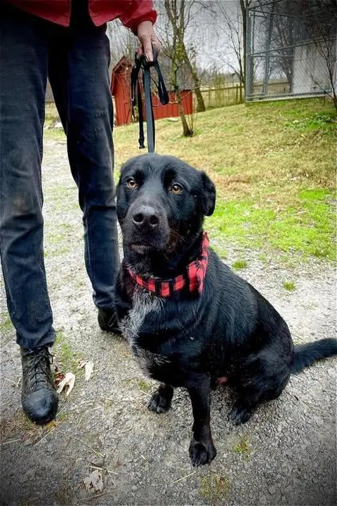 Town & Country Farm & Pet Sitter — photo from the business 8