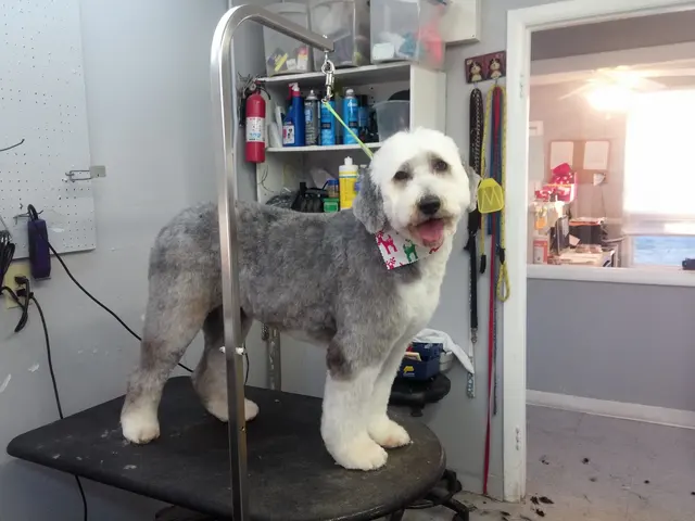 Hillcrest Kennel and Grooming — customer photo 2