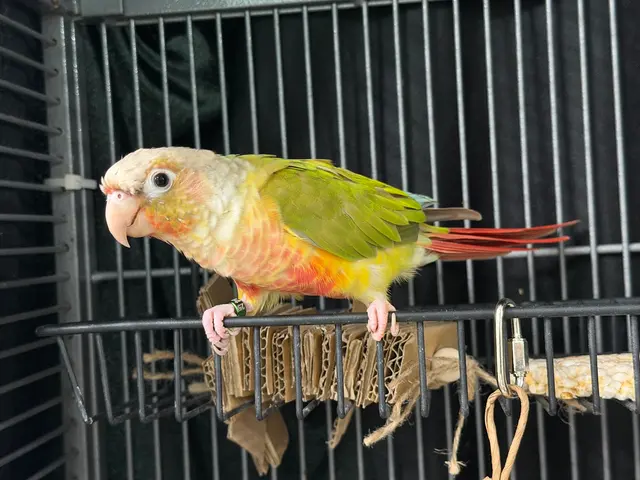 GreyHaven Exotic Pet Boarding — customer photo 10