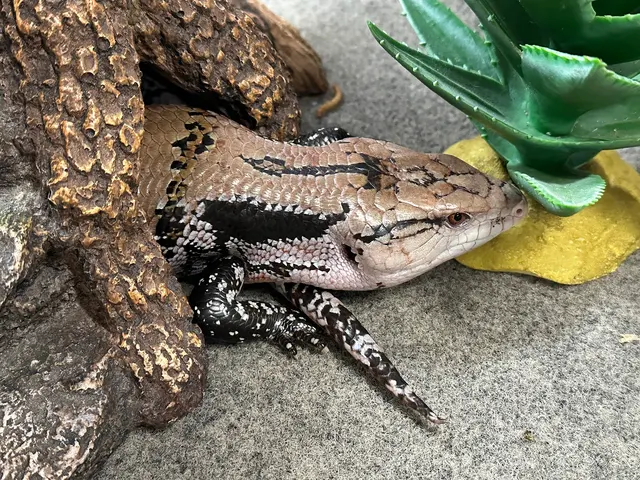 GreyHaven Exotic Pet Boarding — photo from the business 11