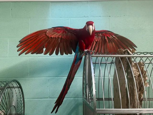 GreyHaven Exotic Pet Boarding — photo from the business 8
