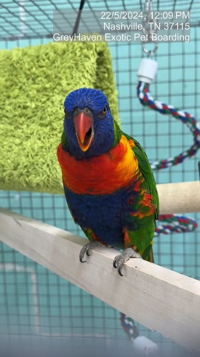 GreyHaven Exotic Pet Boarding — photo from the business 9