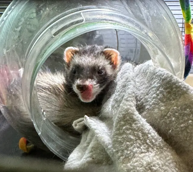 GreyHaven Exotic Pet Boarding — photo from the business 2
