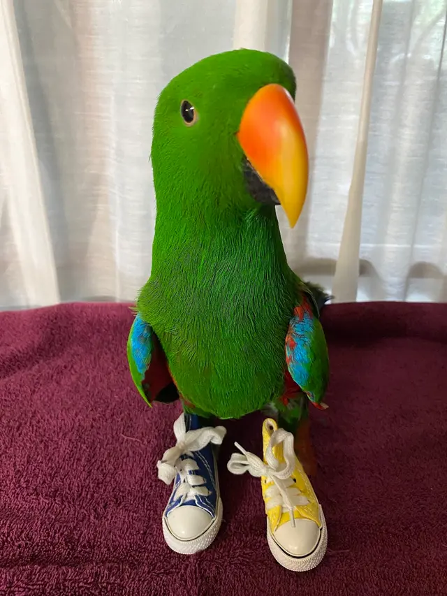 GreyHaven Exotic Pet Boarding — photo from the business 7