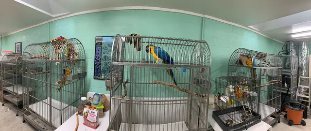 GreyHaven Exotic Pet Boarding — photo from the business 12