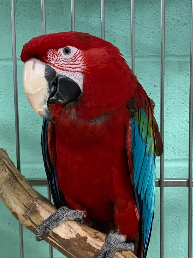 GreyHaven Exotic Pet Boarding — photo from the business 4