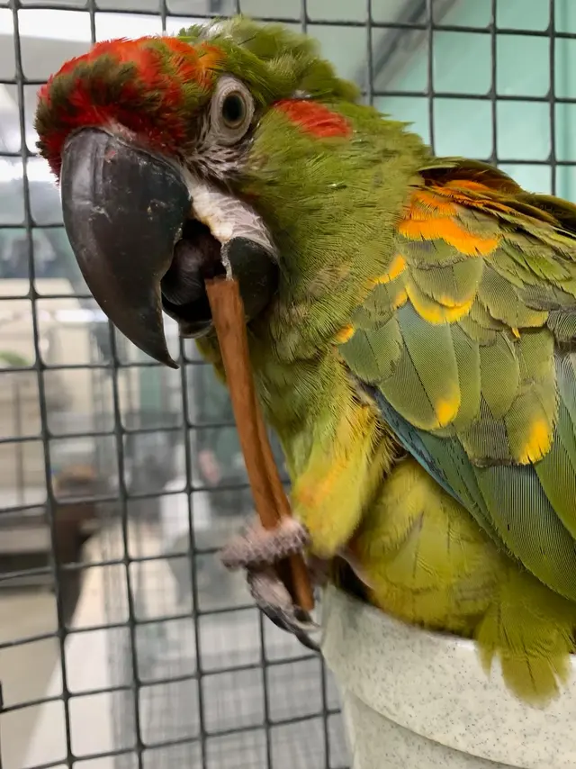 GreyHaven Exotic Pet Boarding — photo from the business 6