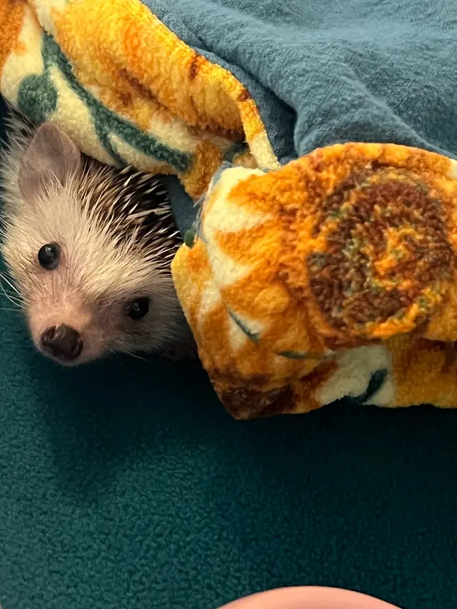 GreyHaven Exotic Pet Boarding — customer photo 5