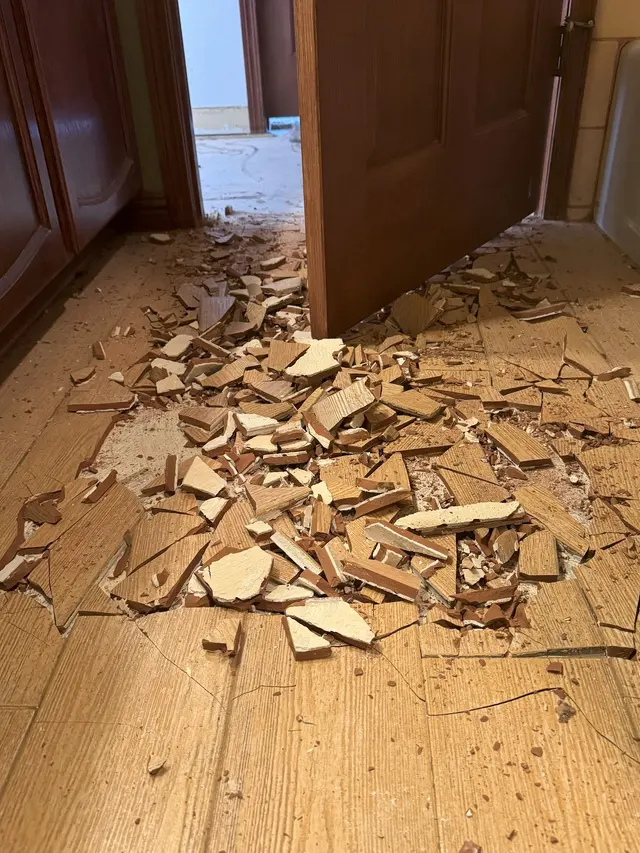 Coronas Carpet and Flooring — photo from the business 10