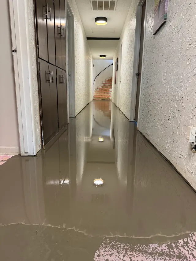 Coronas Carpet and Flooring — photo from the business 2