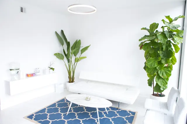 Reboot Float & Cryo Spa — photo from the business 12