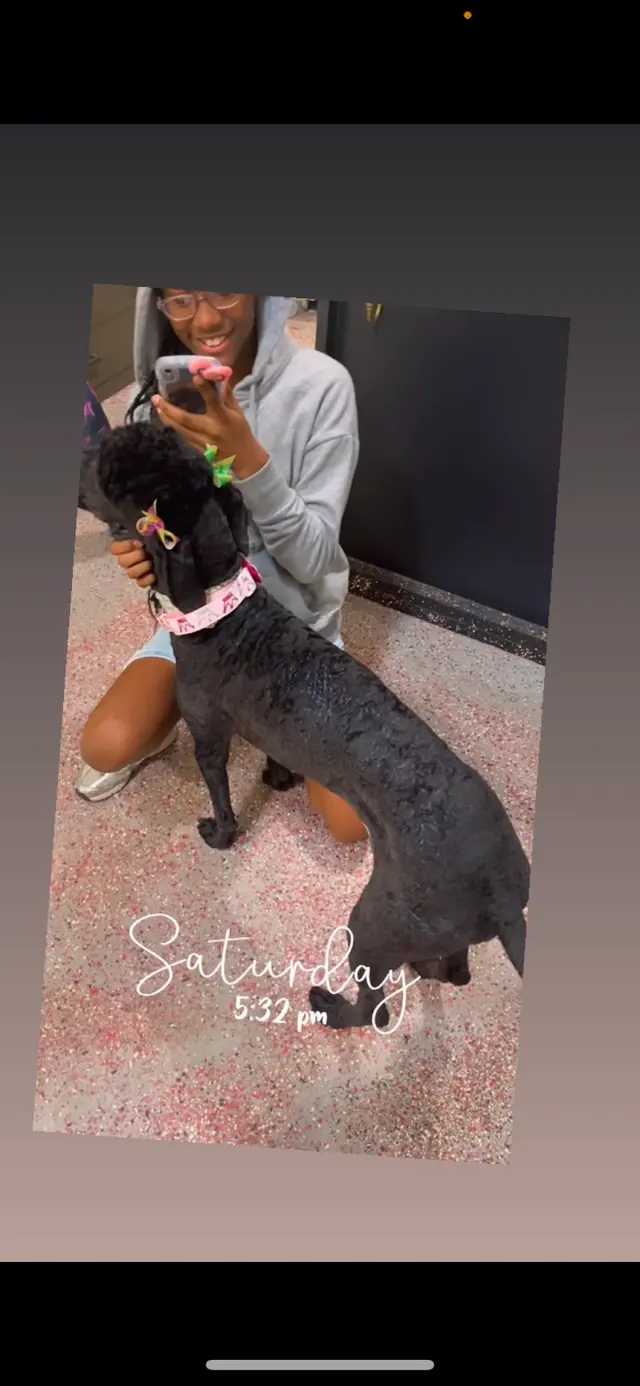 Customer photo of work by RTS Pet Concierge (Formerly Baronne Street Pets), from Jojo Simmons's review