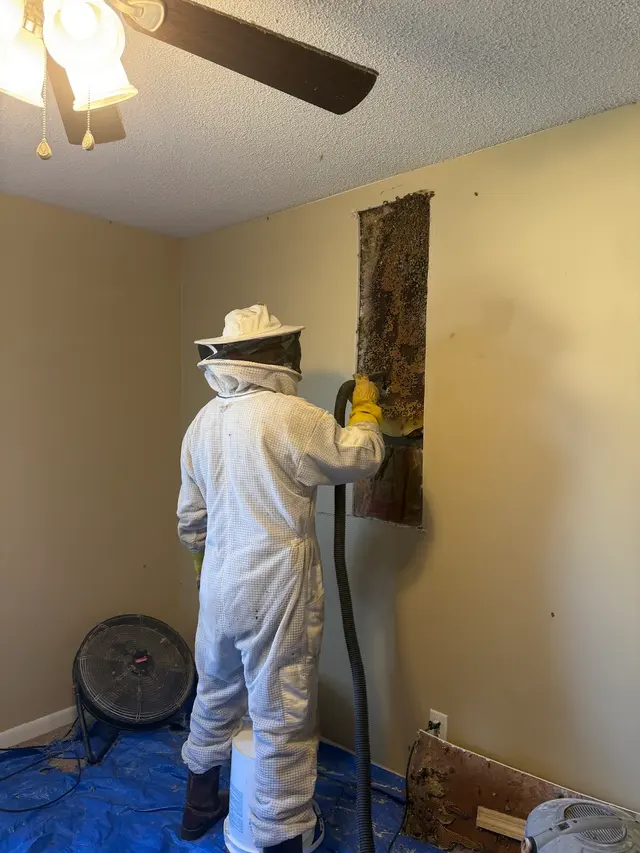 Brent's Honey Bee Rescue and Removal — customer photo 12